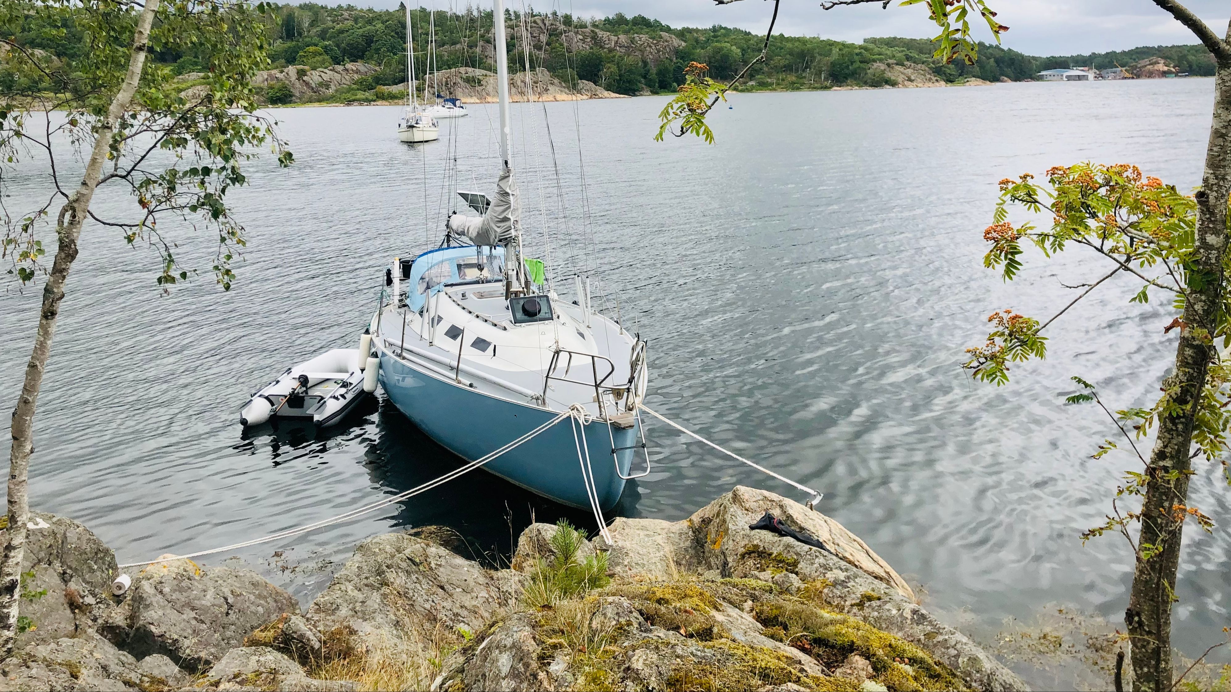 Vår Grinde i naturhamn Bild på Grinden